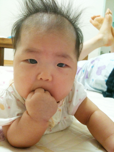 사용자 삽입 이미지