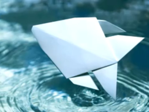 물고기 종이접기 동영상