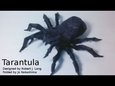 독거미 종이접기 동영상