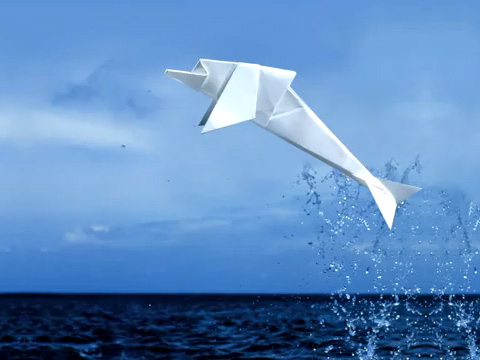 돌고래 종이접기 동영상